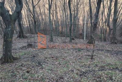 Teren de 1000 mp, în Merei