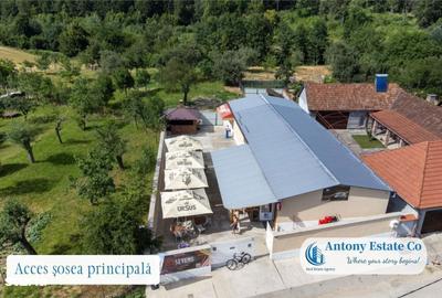 Spațiu comercial, de 195 mp, în Budureasa - 8