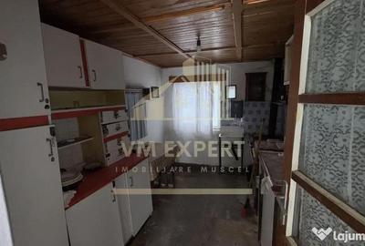 Casă cu 4 camere cu Teren 3038 Mp în Albești - 5
