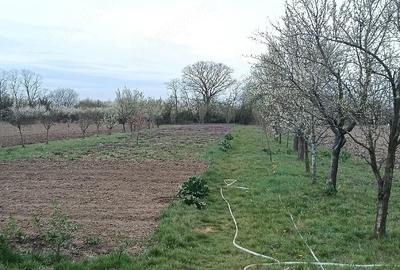 Casă cu Teren 223 Mp în Amați - 2