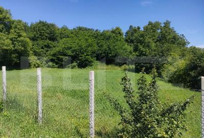 Teren intravilan, 2200mp, front 30 ml, Siret - 4