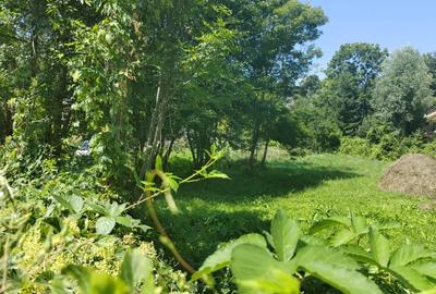 Teren intravilan 1035 mp cu parau, Breaza, Prahova Teren intravilan 1035 mp cu parau, Breaza, Prahova - 4