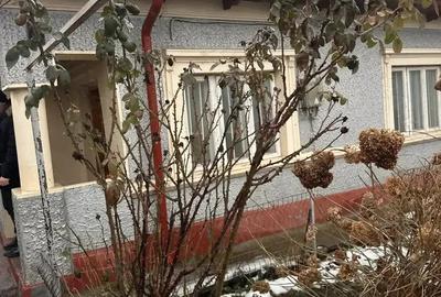 Casă cu 3 camere cu Teren 282 Mp în Central - 5