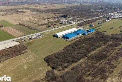 Teren de 7194 mp, în Carașova - 6