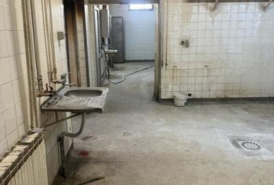 Spațiu comercial, de 380 mp, în Terezian - 19