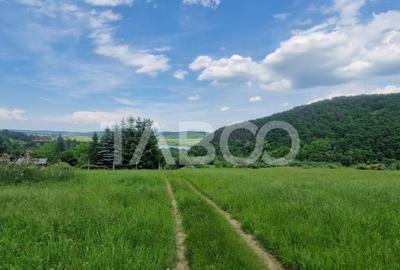 Teren de 1645 mp, în Orlat - 2