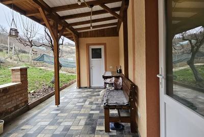 Casă cu 2 camere în Podgoria - 13