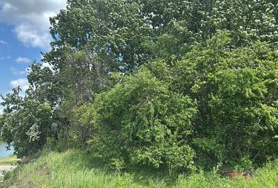 Corbeanca (Tamasi), teren intravilan langa lac si padure - 4