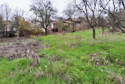 BARCANESTI -  casa +curte+teren 16k mp - 56