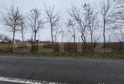 Teren de 2500 mp, în Sud - 3