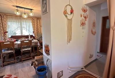 Casă cu 3 camere cu Teren 13000 Mp în Central - 17