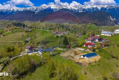 Teren de 1000 mp, în Moieciu - 6