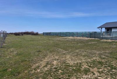 Teren de 880 mp, în Chișirid - 3