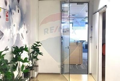 Birou, de 220 mp, în Mărăști - 11