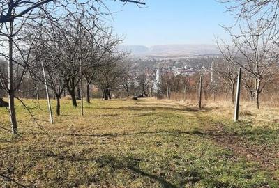 Teren de vanzare in Turda - 6