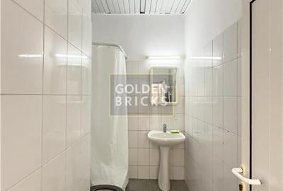 Stefan cel mare | Imobil ideal Showroom | Productie + birouri | Metrou | Parcare - 15