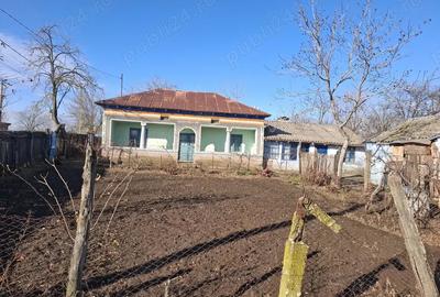 Se vinde casa Segarcea Deal, Teleorman - 2