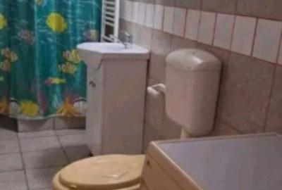 Casă cu 2 camere cu Teren 150 Mp în Rahova - 2