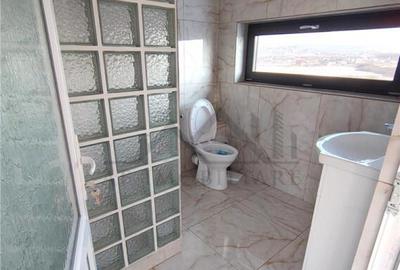 Spatiu comercial Lunca Cetatuii - langa Centura - 19