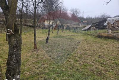 Casă cu 5 camere cu Teren 1958 Mp în Central