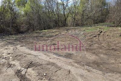 Vanzare - teren 1000 mp - Iancu Nicolae-Pipera - 4