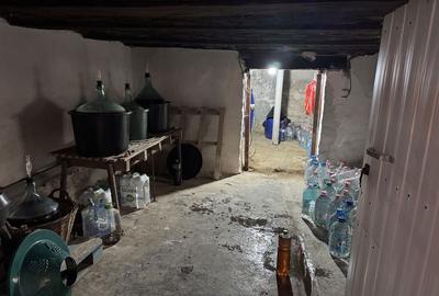 Casă cu 3 camere în Nadeș