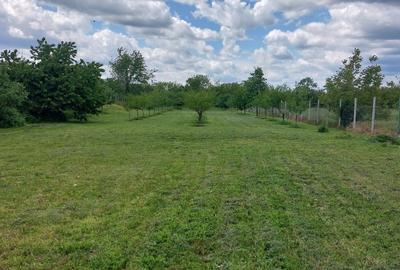 Teren de 4250 mp, în Ungureni (Dragomirești) - 4