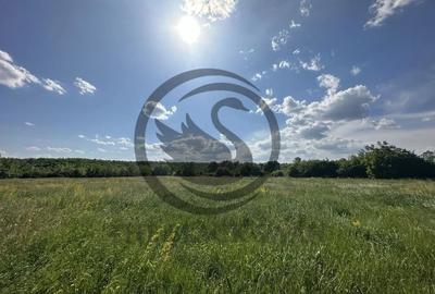 Teren de 11000 mp, în Ghirdoveni - 13