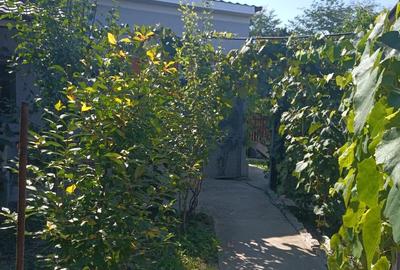 Casă cu 3 camere în Central