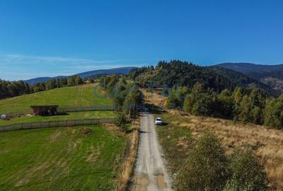 Comision 0% teren intravilan 1000 mp, PUZ, priveliste, Baisoara - 4