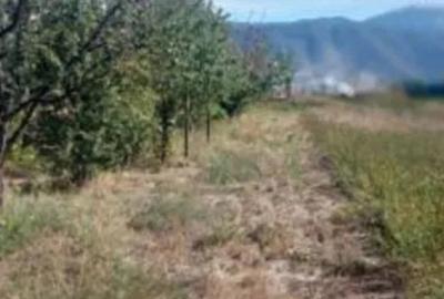 Teren de 934 mp, în Bartolomeu - 4