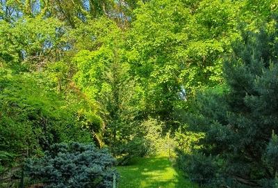 Casă individuală cu 4 camere cu Teren 370 Mp în Băneasa - 14