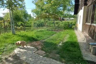 Casă cu 3 camere cu Teren 3000 Mp în Copalnic - 1