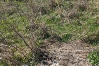 Teren 1130 mp Satul Malu Mierii, comuna Glodeni, Dambovita - 6