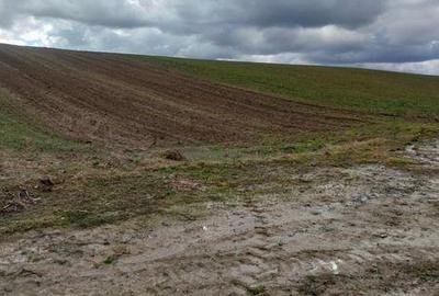 Teren de 5800 mp, în Crișeni - 8