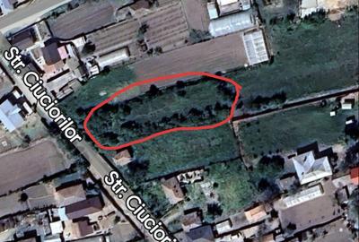 Spațiu comercial, în Castranova - 2