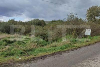 Teren de 7000 mp, în Budacu de Jos - 4