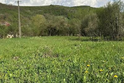 Teren în Bădești - 2