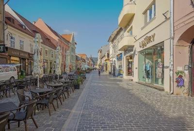 Apartament renovat si mobilat cu curte interioara Republicii pietonal - 1