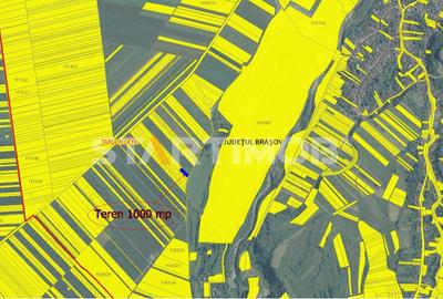 Teren Intravilan Tarlugeni - 6