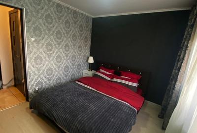 Apartament cu 2 camere semidecomandat în Timișoara - 3