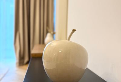 Apartament cu 2 camere semidecomandat, mobilat în Victoriei - 31