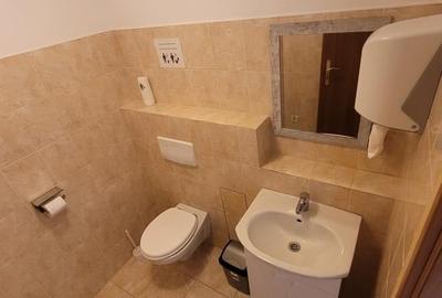 Spatiu de 70 mp in Parcul Industrial Roman pt. productie, servicii - 8