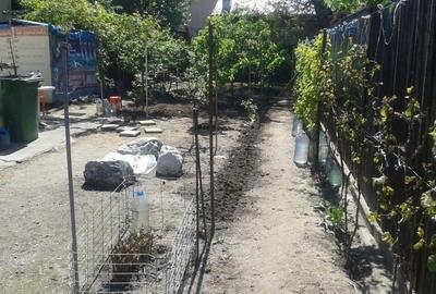 Casă individuală cu 3 camere cu Canalizare în Parcul Carol - 1