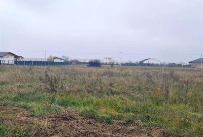 Spațiu comercial, în Cihei