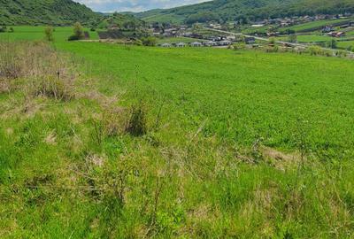 Spațiu comercial, în Ivănești - 4