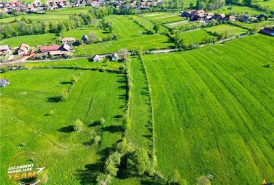 FILM! 2.063 mp de refugiu natural in localitatea Zagon, Covasna - 4