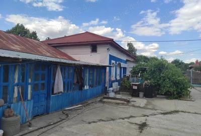 Casă cu 4 camere cu Teren 800 Mp în Licuriciu - 9