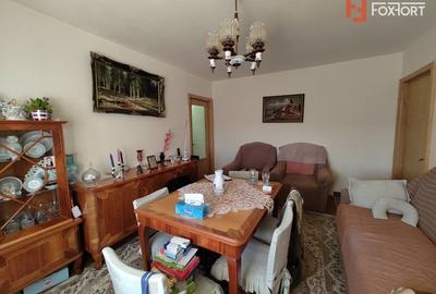 Apartament cu 3 camere de vanzare in Timisoara, zona Dambovita - 2