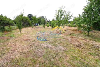 Teren de 1080 mp, în Voila - 3